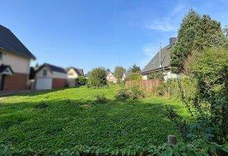 Blick von der Straße