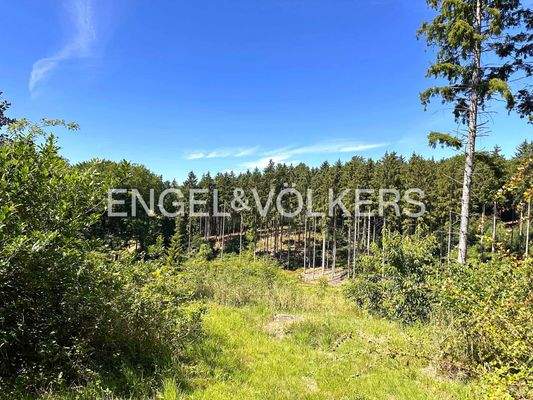 Einzigartiger Weitblick...