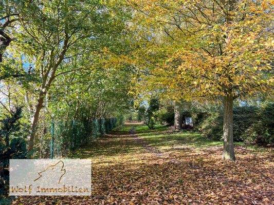 Romantischer Fußweg