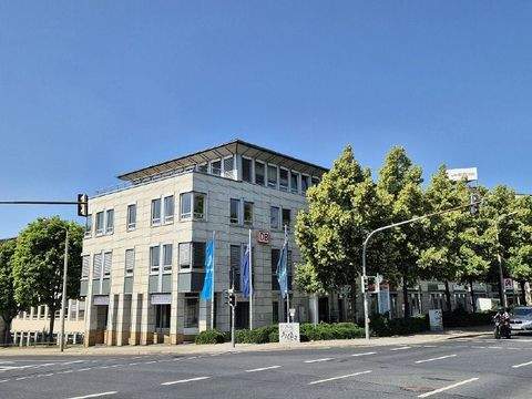 Dresden Ladenlokale, Ladenflächen 