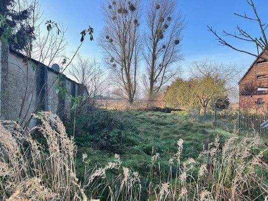 Grünfläche zum Nachbarn