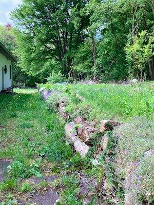 Grundstück mit Plateau Blick zum Weg 1.jpeg