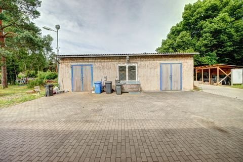 Borkheide Halle, Borkheide Hallenfläche