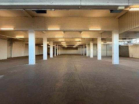 Hamburg Halle, Hamburg Hallenfläche