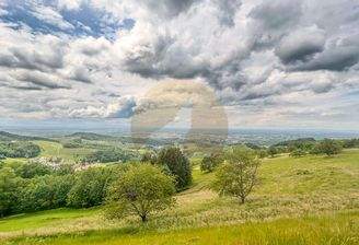 grundstueck-schwarzwald-sasbachwalden-aussicht-wol