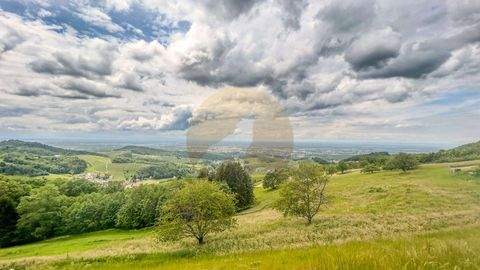 Sasbachwalden Grundstücke, Sasbachwalden Grundstück kaufen