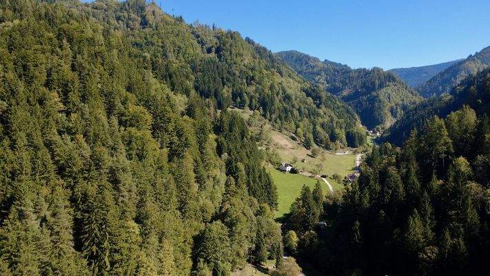 2 Forstfläche (li. Waldfläche)