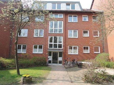 Norderstedt Halle, Norderstedt Hallenfläche