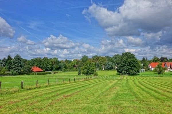 Erholung vor der Haustür...