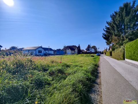 Grambach Häuser, Grambach Haus kaufen