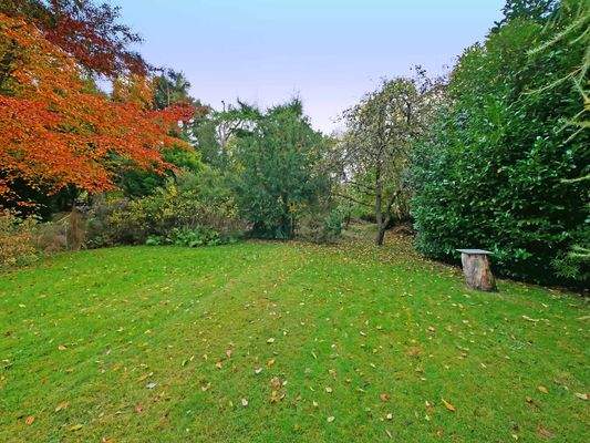 Ihr Traumgarten | Mehr als nur ein Garten