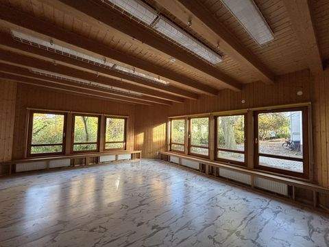 Peine Halle, Peine Hallenfläche