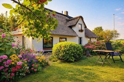 Nordermeldorf Häuser, Nordermeldorf Haus kaufen