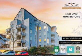 Neu & Nur bei Pell-Rich