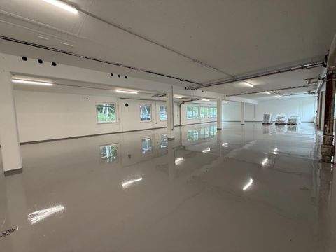 Hamburg Halle, Hamburg Hallenfläche