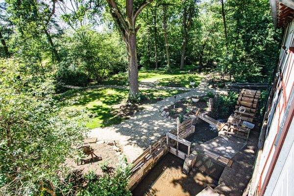 Natur pur - eingebettet im Grün