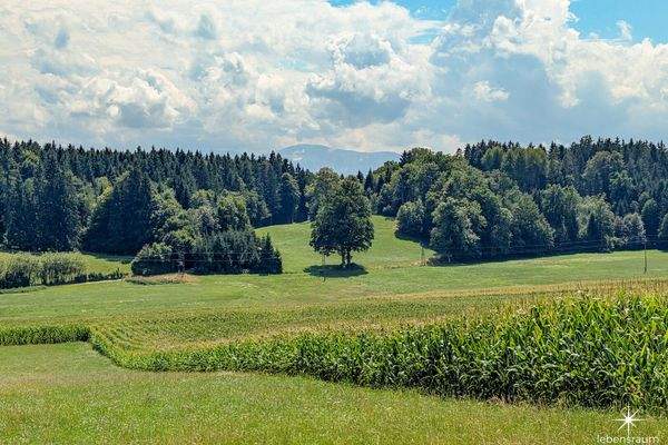 Wiese Moosburg zum Verkauf