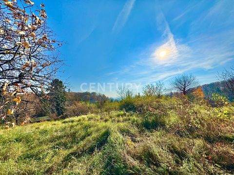 Radebeul Grundstücke, Radebeul Grundstück kaufen