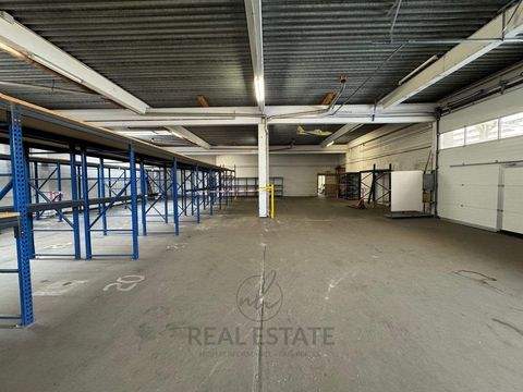 Barsbüttel Halle, Barsbüttel Hallenfläche