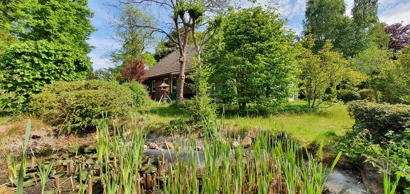 Frontansicht mit Teich 