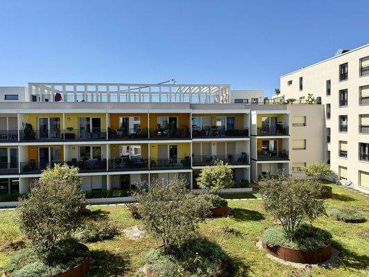 ruhiger sonniger Gartenblick