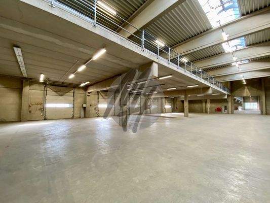 INFOS UNTER: 06171-586000