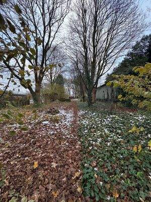 Blick von der Terrasse in das Grundstück