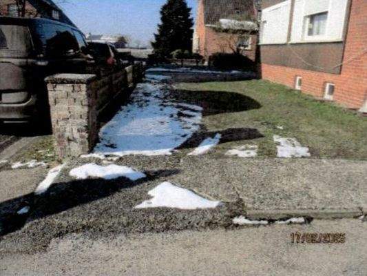 vordere Gartenfläche