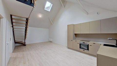 BUSCHWILLER Wohnungen, BUSCHWILLER Wohnung kaufen