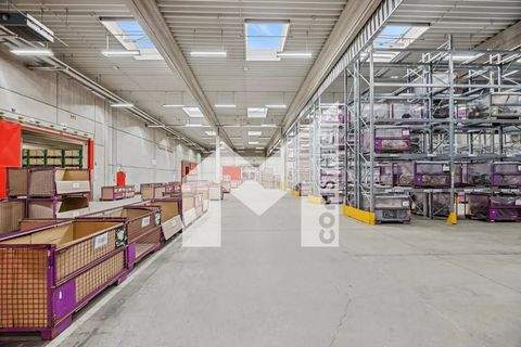 Neuss Halle, Neuss Hallenfläche