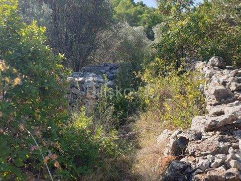 Vela Luka Bauernhöfe, Landwirtschaft, Vela Luka Forstwirtschaft