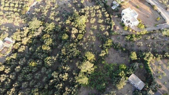 Kreta, Ag. Pavlos: Malerisches Grundstück in der Nähe von Gavalochori zum Verkauf