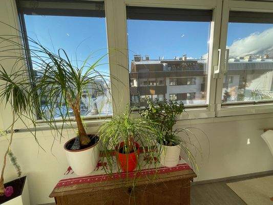 Aussicht von Loggia.jpeg