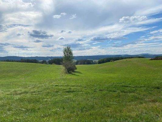 unmittelbare Umgebung