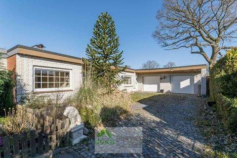 Hasloh Häuser, Hasloh Haus kaufen