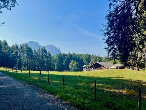 Kastelruth Bauernhöfe, Landwirtschaft, Kastelruth Forstwirtschaft