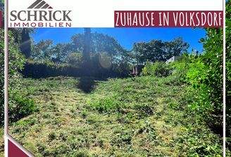 SCHRICK IMMOBILIEN: Volksdorf