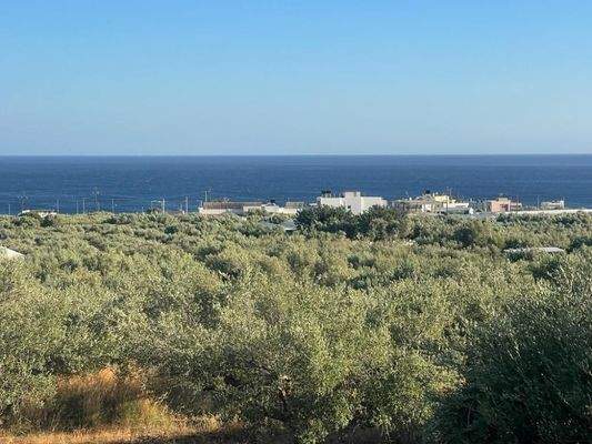 Kreta, Koutsouras: Tolles Baugrundstück in Meeresnähe zu verkaufen