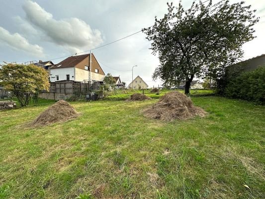 Blick von der Rückseite zur Straße