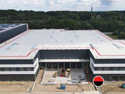 Seevetal Halle, Seevetal Hallenfläche