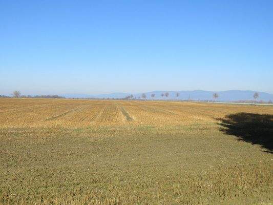 Blick von der Grundstücksgrenze in den Bayerischen Wald 