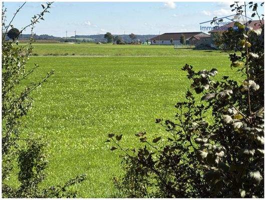 Wunderschöne Ortsrandlage