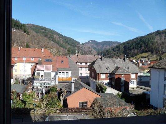 Der Ausbilck zur Stadt