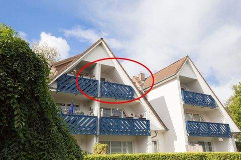 Ostseeheilbad Zingst Wohnungen, Ostseeheilbad Zingst Wohnung kaufen