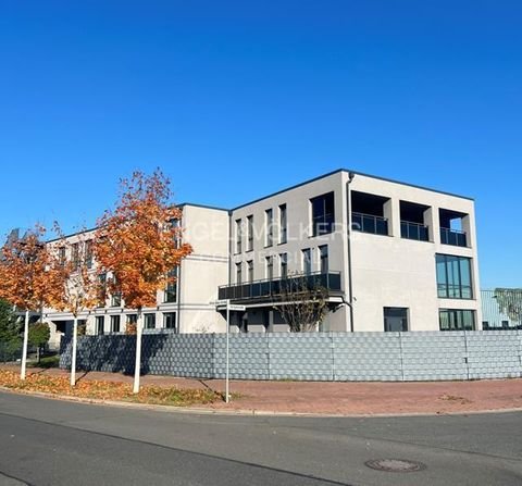 Seelze Halle, Seelze Hallenfläche