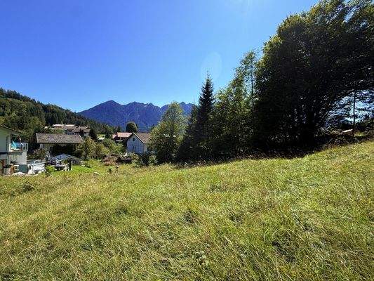 Blick Richtung Haus, Baugrund