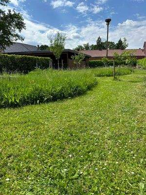 Storchennest mit Blühwiese
