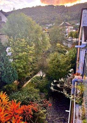 Blick von der Terrasse (zur Mosel hin)