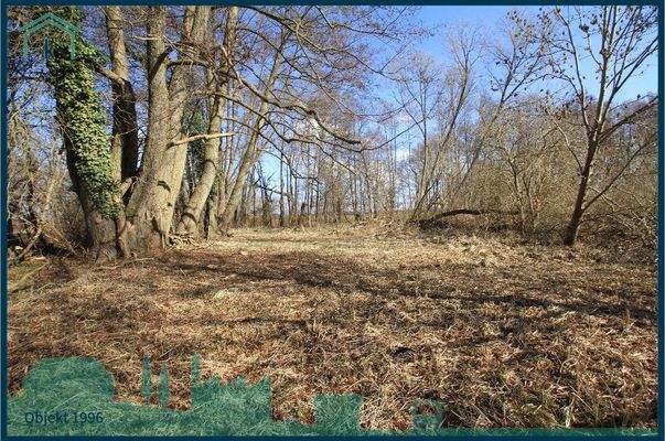 1996 Weg zum See II.jpg