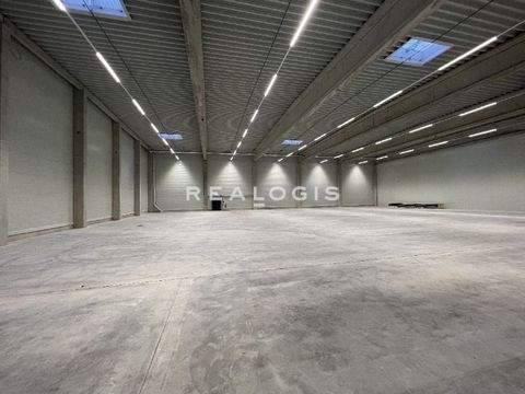 Gernsheim Halle, Gernsheim Hallenfläche